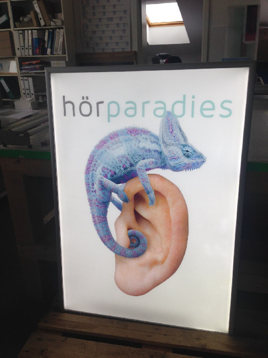 Backlit hörparadies image with a chameleon and an ear in a frame