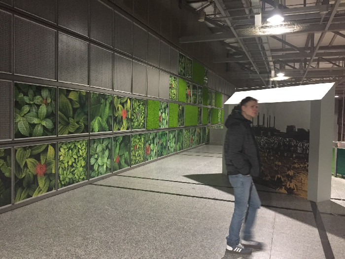 Green plant motifs in panels along the station wall in Lichtenberg